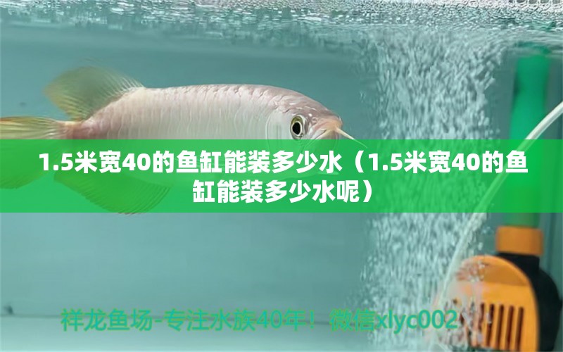 1.5米寬40的魚缸能裝多少水（1.5米寬40的魚缸能裝多少水呢）