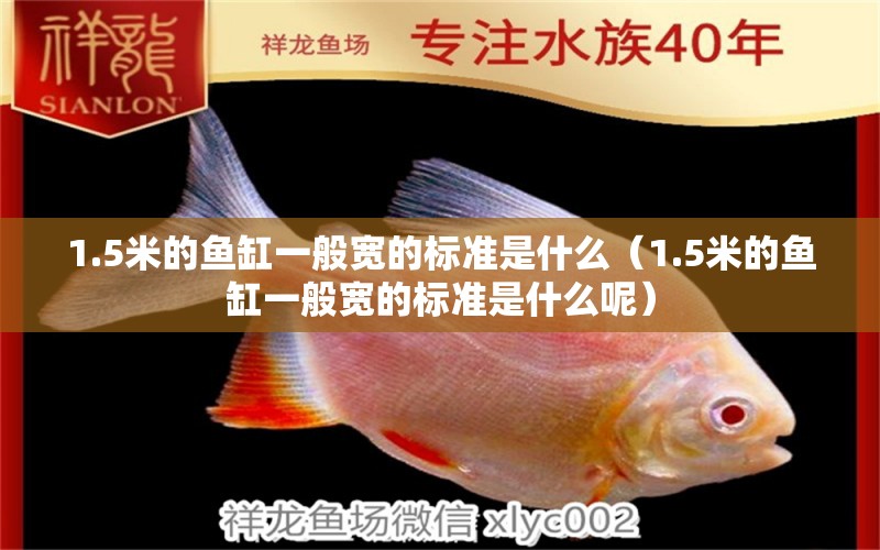 1.5米的魚缸一般寬的標準是什么（1.5米的魚缸一般寬的標準是什么呢）