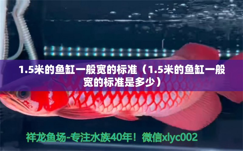 1.5米的魚(yú)缸一般寬的標(biāo)準(zhǔn)（1.5米的魚(yú)缸一般寬的標(biāo)準(zhǔn)是多少）