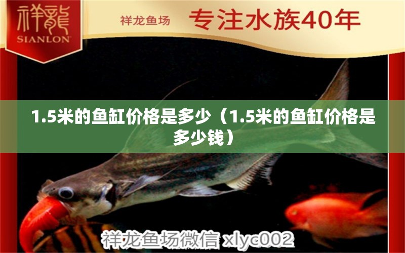 1.5米的魚缸價格是多少（1.5米的魚缸價格是多少錢）