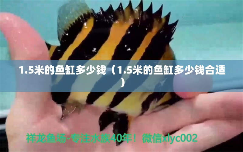 1.5米的魚缸多少錢（1.5米的魚缸多少錢合適） 其他品牌魚缸