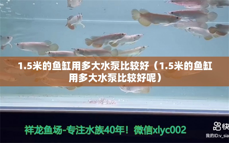 1.5米的魚缸用多大水泵比較好（1.5米的魚缸用多大水泵比較好呢）