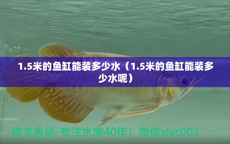 1.5米的魚缸能裝多少水（1.5米的魚缸能裝多少水呢）