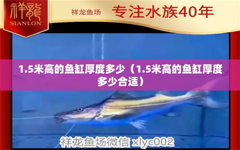 1.5米高的魚(yú)缸厚度多少（1.5米高的魚(yú)缸厚度多少合適）