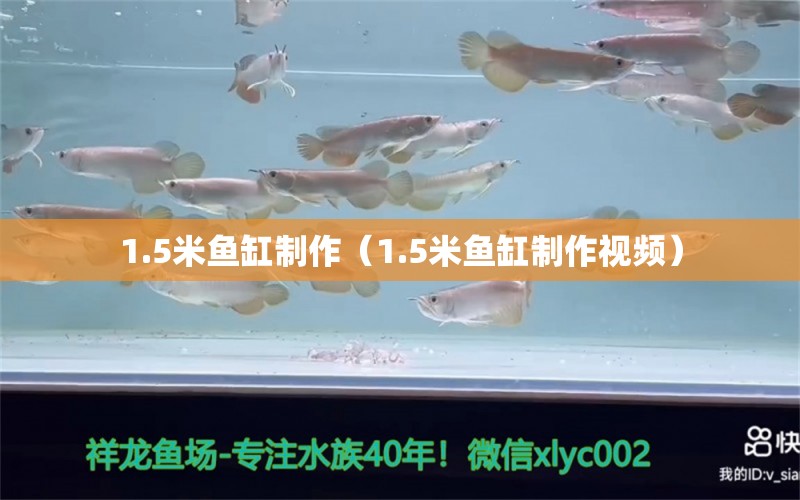 1.5米魚缸制作（1.5米魚缸制作視頻） 其他品牌魚缸