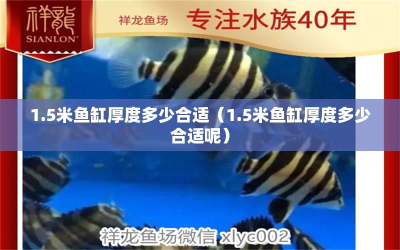 1.5米魚缸厚度多少合適（1.5米魚缸厚度多少合適呢）