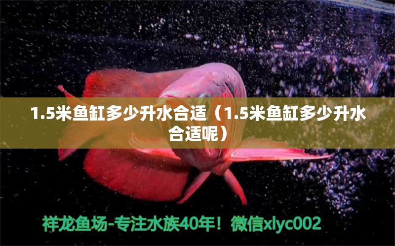 1.5米魚缸多少升水合適（1.5米魚缸多少升水合適呢）