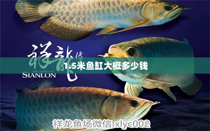 1.5米魚缸大概多少錢