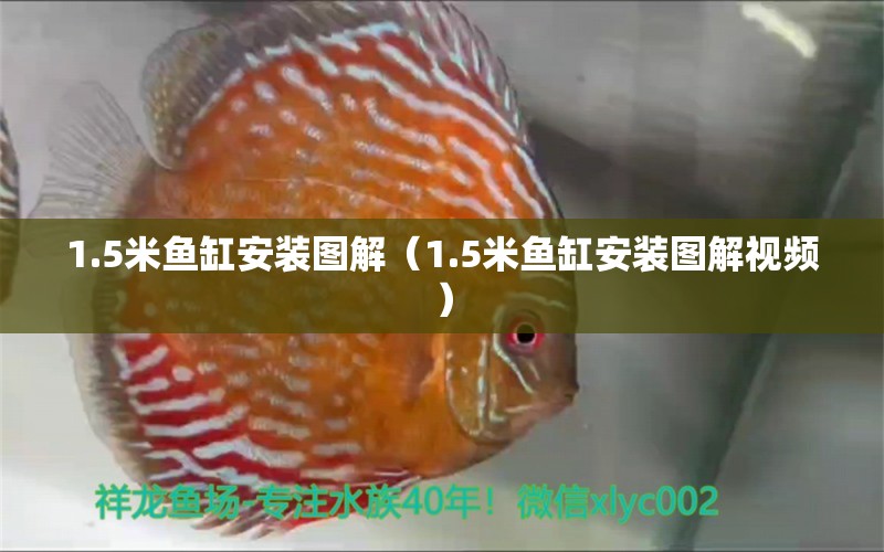 1.5米魚缸安裝圖解（1.5米魚缸安裝圖解視頻）