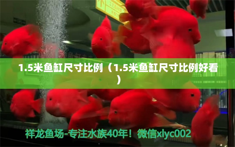 1.5米魚缸尺寸比例（1.5米魚缸尺寸比例好看）