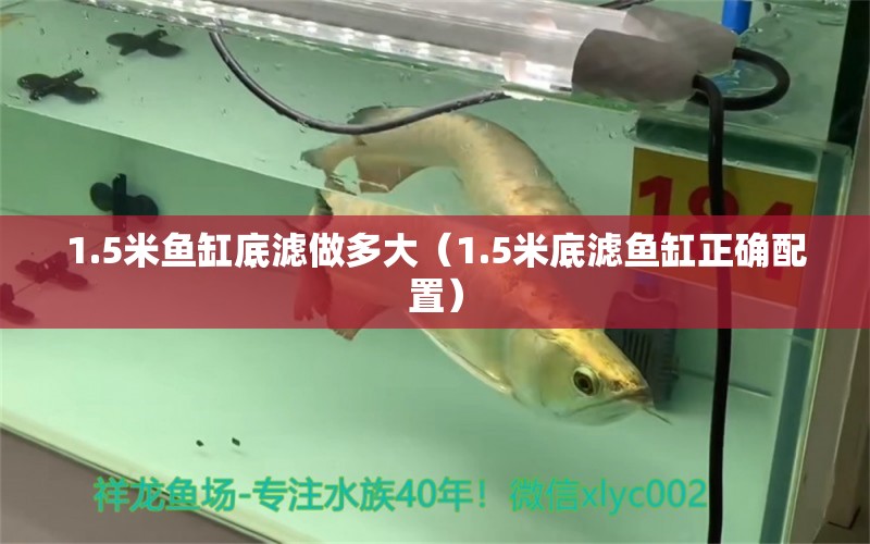 1.5米魚(yú)缸底濾做多大（1.5米底濾魚(yú)缸正確配置）