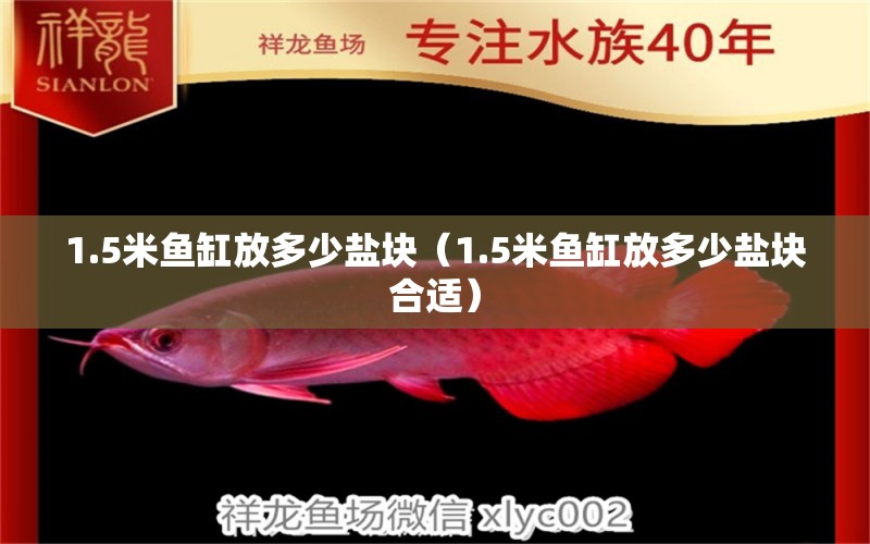 1.5米魚缸放多少鹽塊（1.5米魚缸放多少鹽塊合適）