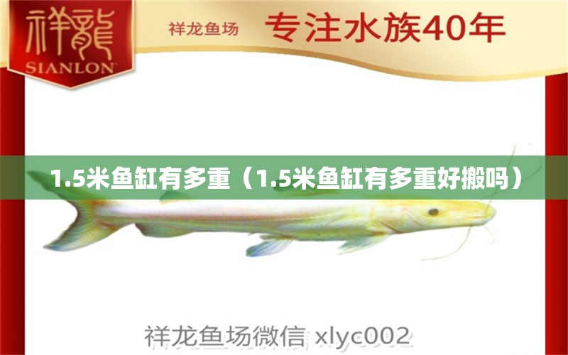 1.5米魚缸有多重（1.5米魚缸有多重好搬嗎）