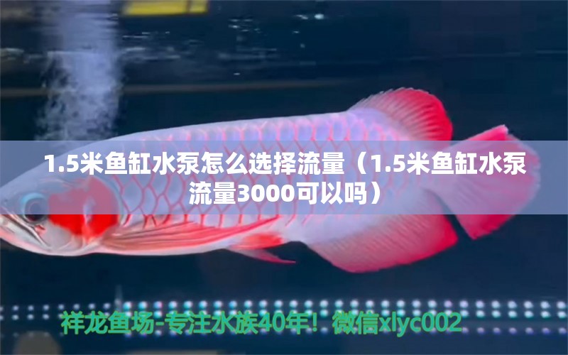 1.5米魚缸水泵怎么選擇流量（1.5米魚缸水泵流量3000可以嗎）