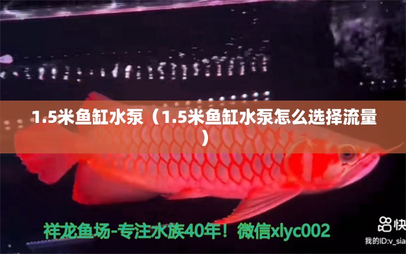 1.5米魚缸水泵（1.5米魚缸水泵怎么選擇流量）