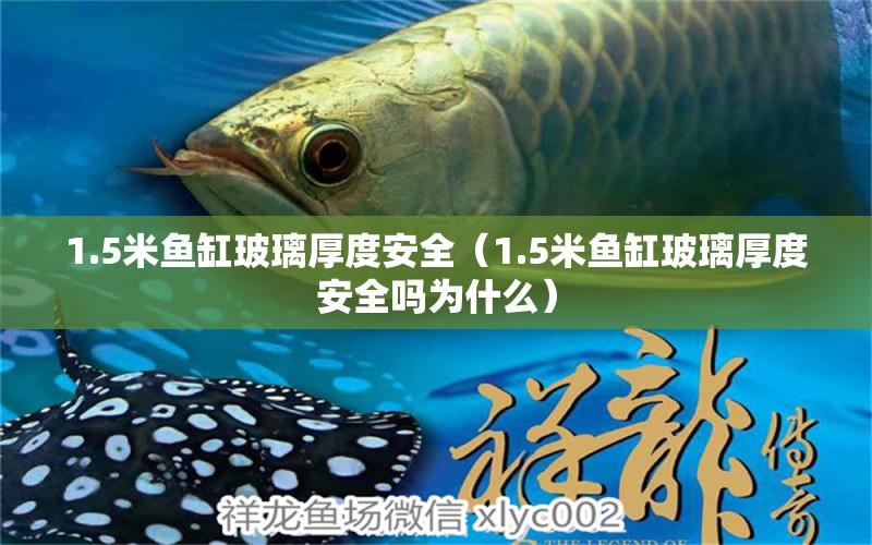 1.5米魚缸玻璃厚度安全（1.5米魚缸玻璃厚度安全嗎為什么）