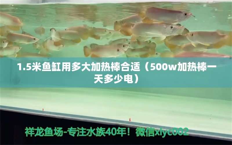 1.5米魚缸用多大加熱棒合適（500w加熱棒一天多少電）