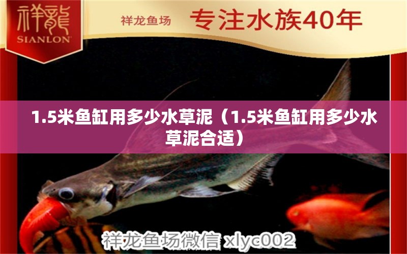 1.5米魚缸用多少水草泥（1.5米魚缸用多少水草泥合適）