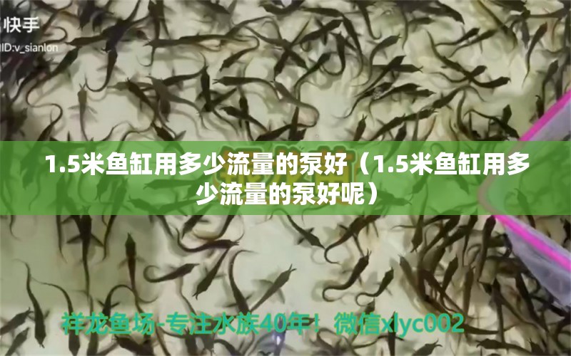 1.5米魚缸用多少流量的泵好（1.5米魚缸用多少流量的泵好呢） 魚缸百科