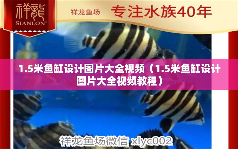 1.5米魚(yú)缸設(shè)計(jì)圖片大全視頻（1.5米魚(yú)缸設(shè)計(jì)圖片大全視頻教程）