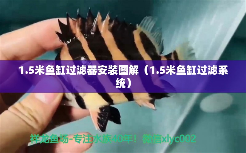 1.5米魚缸過濾器安裝圖解（1.5米魚缸過濾系統(tǒng)）