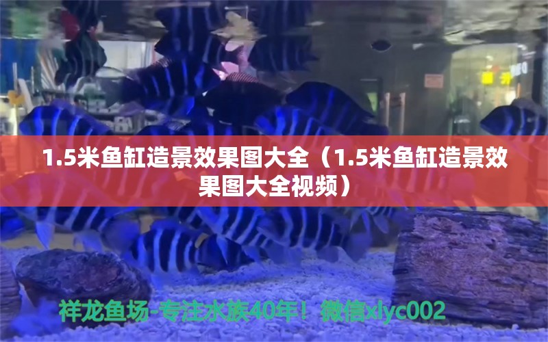 1.5米魚缸造景效果圖大全（1.5米魚缸造景效果圖大全視頻）