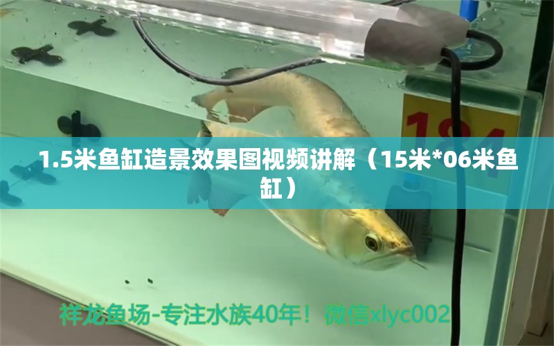 1.5米魚缸造景效果圖視頻講解（15米*06米魚缸） 海水魚