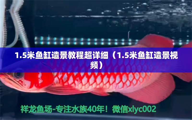 1.5米魚缸造景教程超詳細(xì)（1.5米魚缸造景視頻）