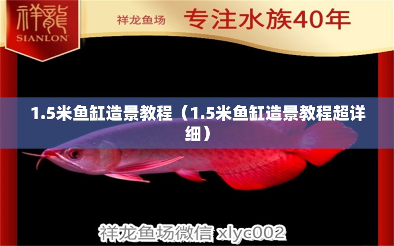 1.5米魚缸造景教程（1.5米魚缸造景教程超詳細(xì)） 魚缸百科