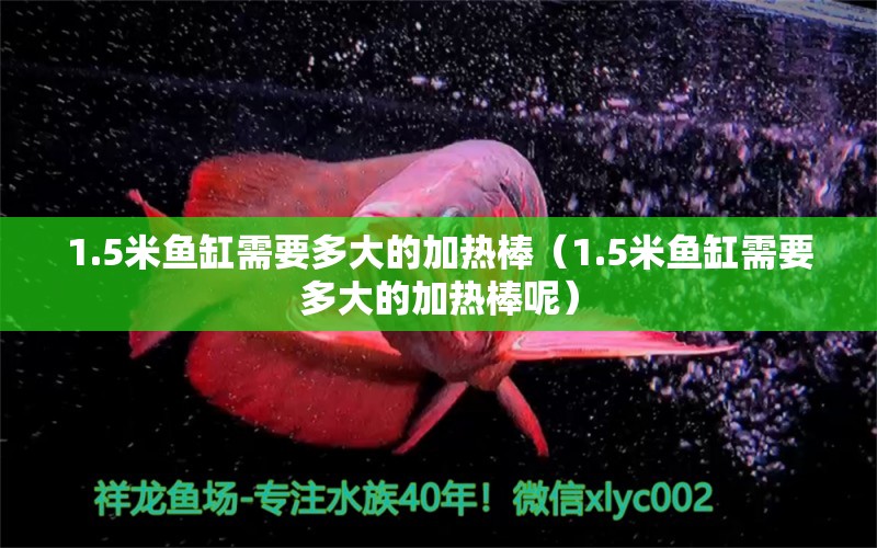 1.5米魚缸需要多大的加熱棒（1.5米魚缸需要多大的加熱棒呢） 其他品牌魚缸