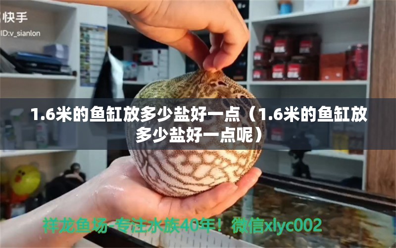 1.6米的魚(yú)缸放多少鹽好一點(diǎn)（1.6米的魚(yú)缸放多少鹽好一點(diǎn)呢）