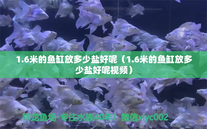 1.6米的魚(yú)缸放多少鹽好呢（1.6米的魚(yú)缸放多少鹽好呢視頻）