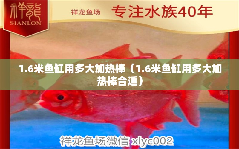 1.6米魚缸用多大加熱棒（1.6米魚缸用多大加熱棒合適） 其他品牌魚缸