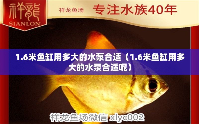 1.6米魚缸用多大的水泵合適（1.6米魚缸用多大的水泵合適呢） 其他品牌魚缸