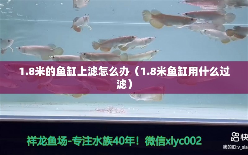 1.8米的魚缸上濾怎么辦（1.8米魚缸用什么過(guò)濾）