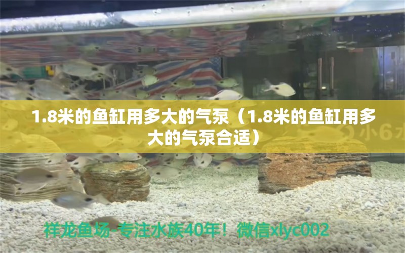 1.8米的魚缸用多大的氣泵（1.8米的魚缸用多大的氣泵合適） 祥龍水族醫(yī)院