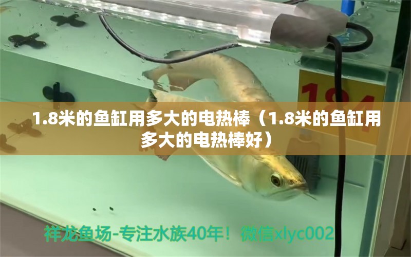 1.8米的魚(yú)缸用多大的電熱棒（1.8米的魚(yú)缸用多大的電熱棒好） 魚(yú)缸百科