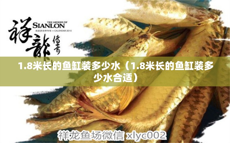 1.8米長(zhǎng)的魚缸裝多少水（1.8米長(zhǎng)的魚缸裝多少水合適） 祥龍水族醫(yī)院