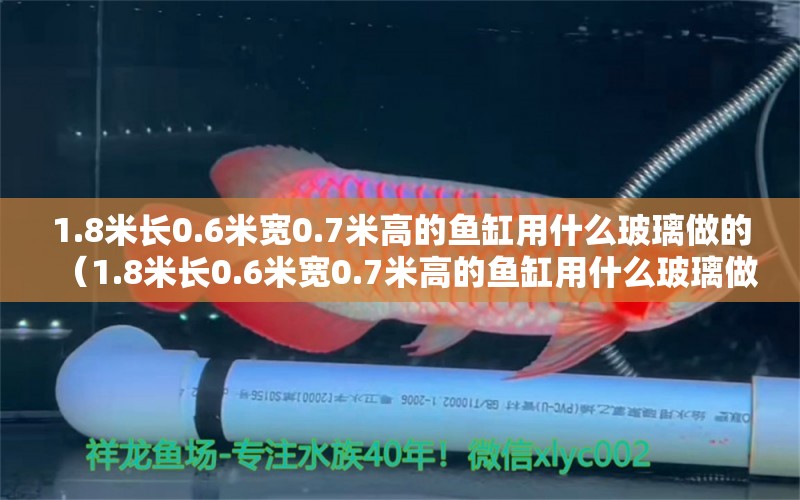 1.8米長(zhǎng)0.6米寬0.7米高的魚(yú)缸用什么玻璃做的（1.8米長(zhǎng)0.6米寬0.7米高的魚(yú)缸用什么玻璃做的呢）