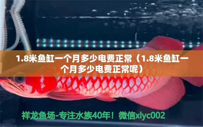 1.8米魚缸一個月多少電費(fèi)正常（1.8米魚缸一個月多少電費(fèi)正常呢） 魚缸百科