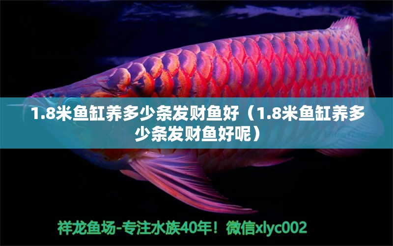 1.8米魚(yú)缸養(yǎng)多少條發(fā)財(cái)魚(yú)好（1.8米魚(yú)缸養(yǎng)多少條發(fā)財(cái)魚(yú)好呢） 孵化器