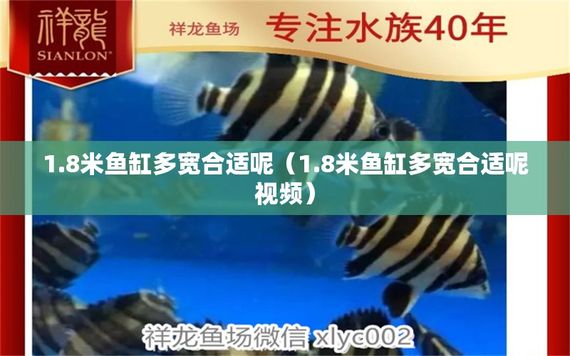 1.8米魚缸多寬合適呢（1.8米魚缸多寬合適呢視頻）