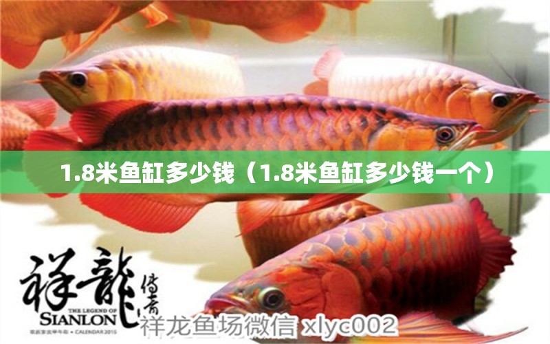 1.8米魚缸多少錢（1.8米魚缸多少錢一個）