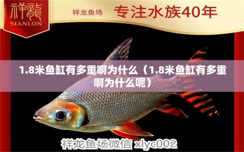 1.8米魚缸有多重啊為什么（1.8米魚缸有多重啊為什么呢）