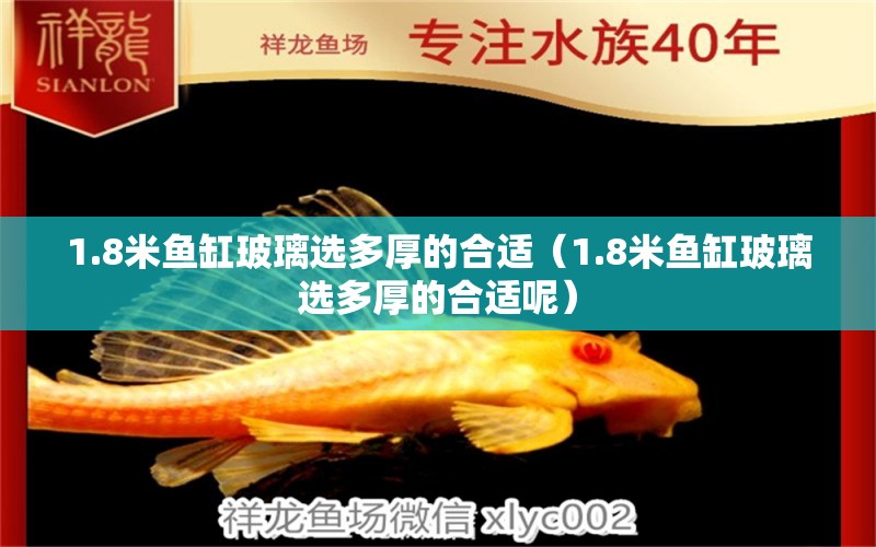 1.8米魚(yú)缸玻璃選多厚的合適（1.8米魚(yú)缸玻璃選多厚的合適呢） 祥龍水族醫(yī)院