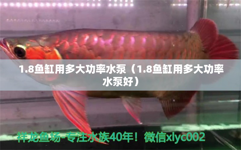 1.8魚缸用多大功率水泵（1.8魚缸用多大功率水泵好） 其他品牌魚缸