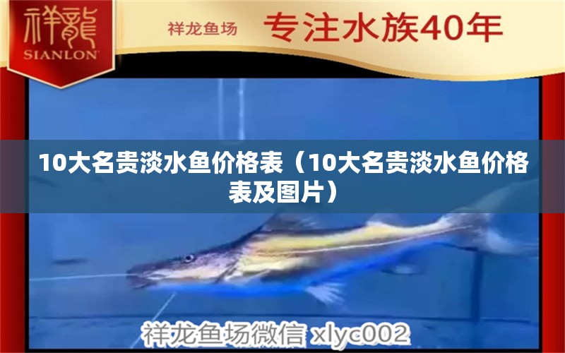 10大名貴淡水魚價(jià)格表（10大名貴淡水魚價(jià)格表及圖片） 紅龍魚魚糧飼料