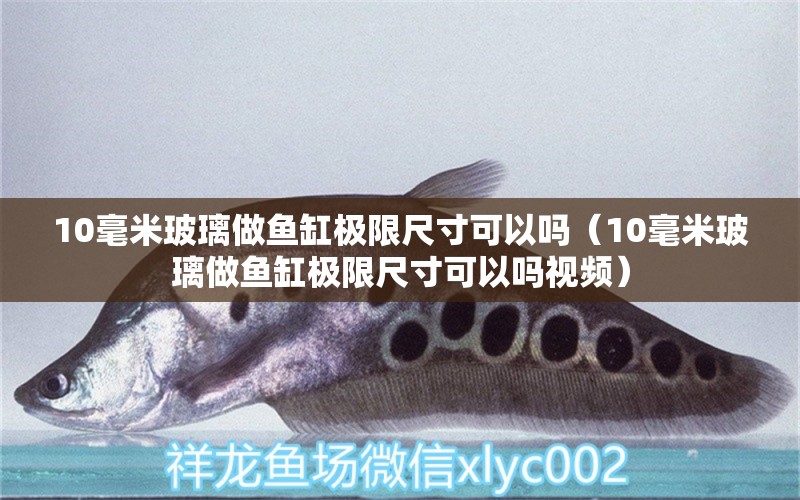 10毫米玻璃做魚缸極限尺寸可以嗎（10毫米玻璃做魚缸極限尺寸可以嗎視頻） 魚缸百科