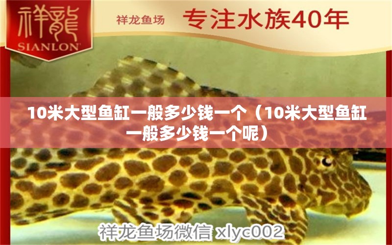 10米大型魚(yú)缸一般多少錢(qián)一個(gè)（10米大型魚(yú)缸一般多少錢(qián)一個(gè)呢）