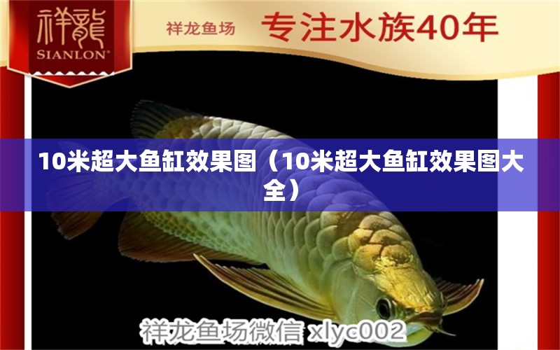 10米超大魚缸效果圖（10米超大魚缸效果圖大全） 魚缸百科